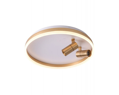 Купить Накладной светильник Zortes ZRS.1888.02| VIVID-LIGHT.RU