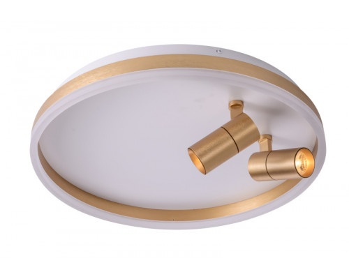 Купить Накладной светильник Zortes ZRS.1888.02| VIVID-LIGHT.RU