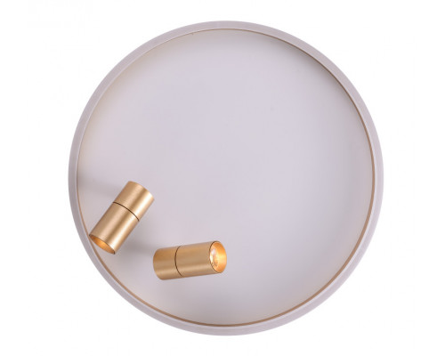 Купить Накладной светильник Zortes ZRS.1888.02| VIVID-LIGHT.RU