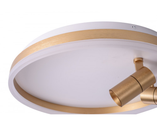 Купить Накладной светильник Zortes ZRS.1888.02| VIVID-LIGHT.RU