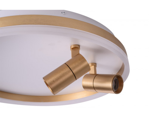 Купить Накладной светильник Zortes ZRS.1888.02| VIVID-LIGHT.RU