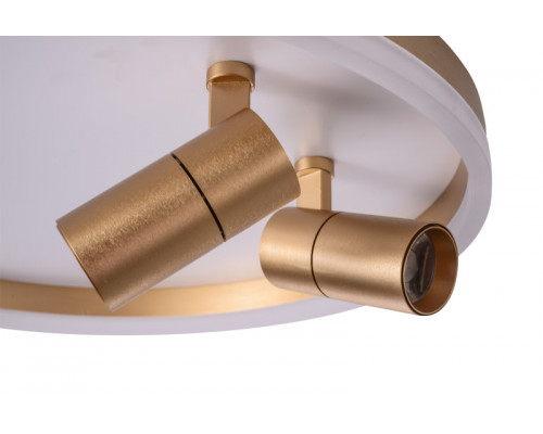 Купить Накладной светильник Zortes ZRS.1888.02| VIVID-LIGHT.RU