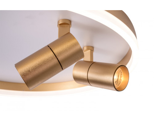 Купить Накладной светильник Zortes ZRS.1888.02| VIVID-LIGHT.RU