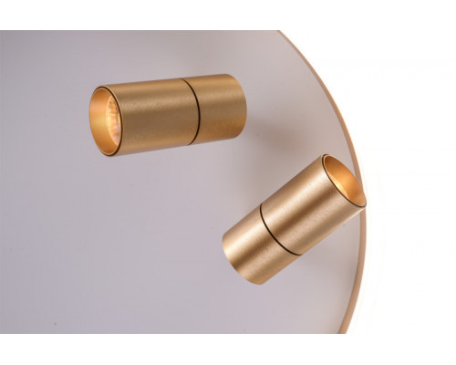 Купить Накладной светильник Zortes ZRS.1888.02| VIVID-LIGHT.RU