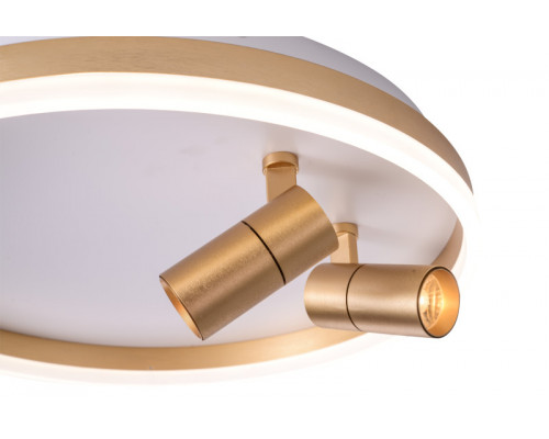 Купить Накладной светильник Zortes ZRS.1888.02| VIVID-LIGHT.RU