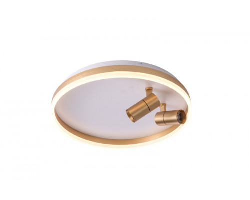 Купить Накладной светильник Zortes ZRS.1888.02| VIVID-LIGHT.RU