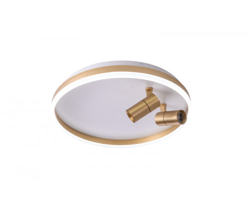 Купить Накладной светильник Zortes ZRS.1888.02| VIVID-LIGHT.RU