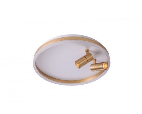 Купить Накладной светильник Zortes ZRS.1888.02| VIVID-LIGHT.RU