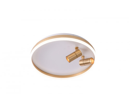 Купить Накладной светильник Zortes ZRS.1888.02| VIVID-LIGHT.RU