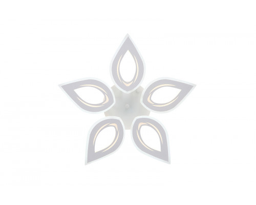 Оформить заказ Накладной светильник Natali Kovaltseva LED LAMPS 81123/5C| VIVID-LIGHT.RU