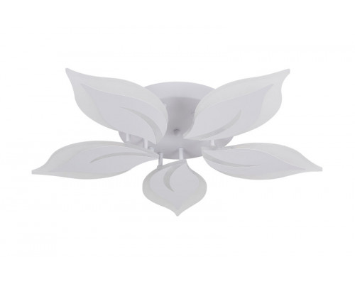 Сделать заказ Накладной светильник Natali Kovaltseva LED LAMPS 81160| VIVID-LIGHT.RU