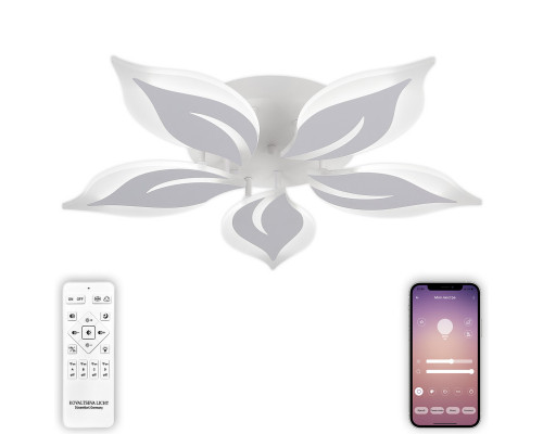 Сделать заказ Накладной светильник Natali Kovaltseva LED LAMPS 81160| VIVID-LIGHT.RU