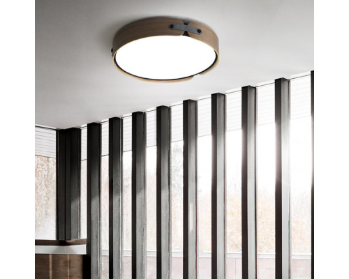 Оформить заказ Накладной светильник ImperiumLoft 101959-26| VIVID-LIGHT.RU