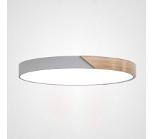 Накладной светильник ImperiumLoft 193053-26