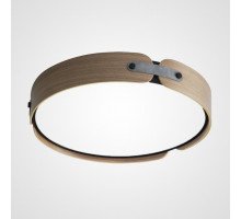 Накладной светильник ImperiumLoft 195540-26