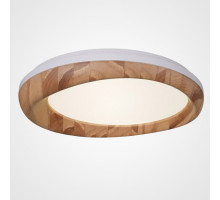 Накладной светильник ImperiumLoft 219477-26