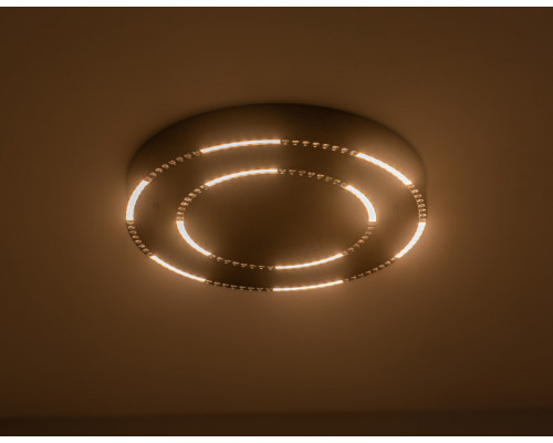 Сделать заказ Накладной светильник Ambrella Light FL5822| VIVID-LIGHT.RU