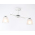 Заказать Накладной светильник Ambrella Light TR303201| VIVID-LIGHT.RU
