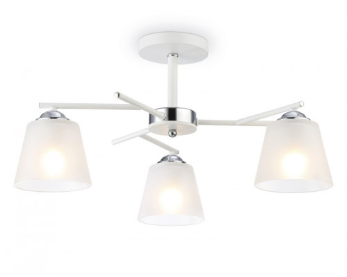 Купить Накладной светильник Ambrella Light TR303202| VIVID-LIGHT.RU