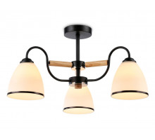 Накладной светильник Ambrella Light TR3033241