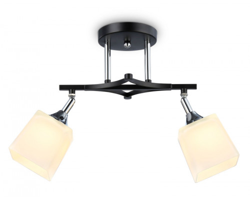 Оформить заказ Накладной светильник Ambrella Light TR303063| VIVID-LIGHT.RU