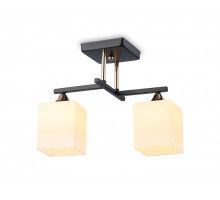 Накладной светильник Ambrella Light TR303112