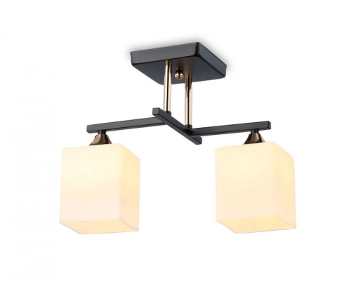 Купить Накладной светильник Ambrella Light TR303112| VIVID-LIGHT.RU