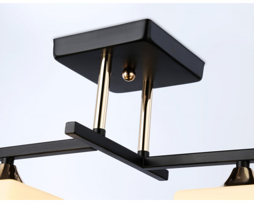 Купить Накладной светильник Ambrella Light TR303112| VIVID-LIGHT.RU