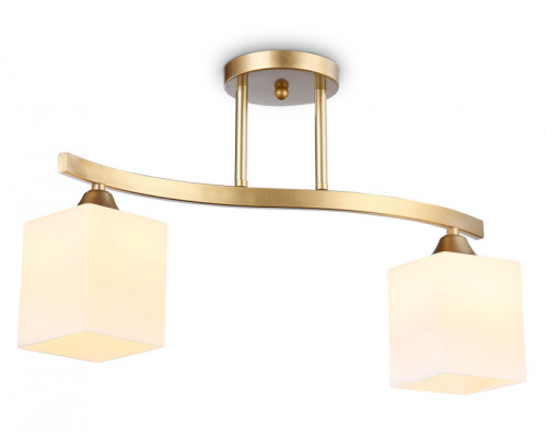 Сделать заказ Накладной светильник Ambrella Light TR303119| VIVID-LIGHT.RU