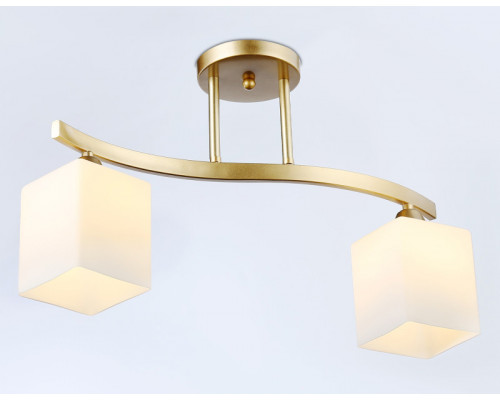 Сделать заказ Накладной светильник Ambrella Light TR303119| VIVID-LIGHT.RU