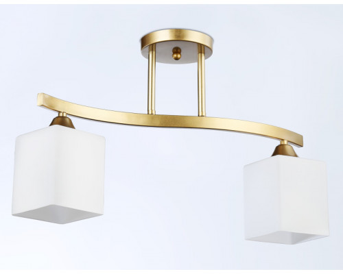 Сделать заказ Накладной светильник Ambrella Light TR303119| VIVID-LIGHT.RU