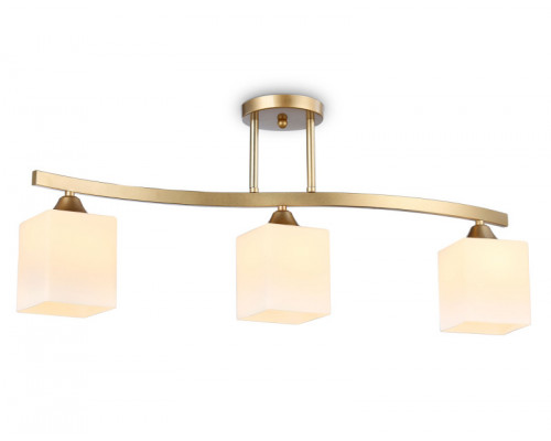 Оформить заказ Накладной светильник Ambrella Light TR303121| VIVID-LIGHT.RU