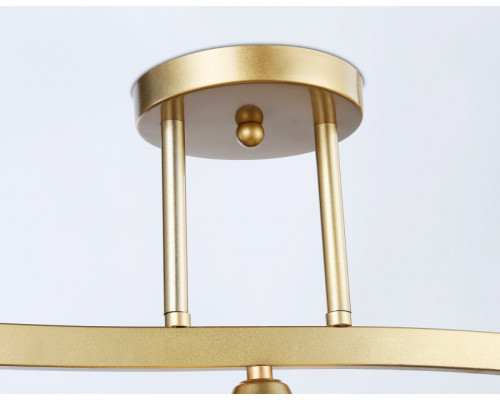 Оформить заказ Накладной светильник Ambrella Light TR303121| VIVID-LIGHT.RU