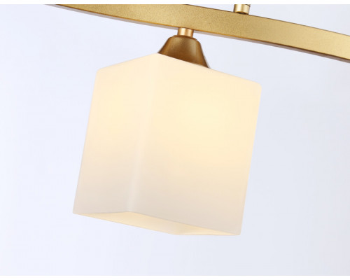 Оформить заказ Накладной светильник Ambrella Light TR303121| VIVID-LIGHT.RU