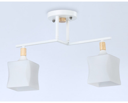 Заказать Накладной светильник Ambrella Light TR9484| VIVID-LIGHT.RU