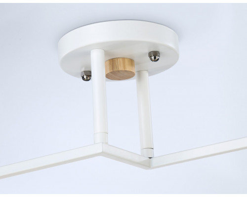 Заказать Накладной светильник Ambrella Light TR9484| VIVID-LIGHT.RU