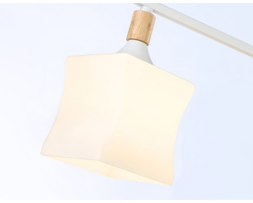 Заказать Накладной светильник Ambrella Light TR9484| VIVID-LIGHT.RU