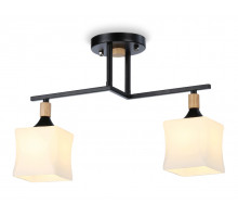 Накладной светильник Ambrella Light TR9486