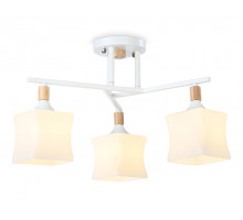 Накладной светильник Ambrella Light TR9488