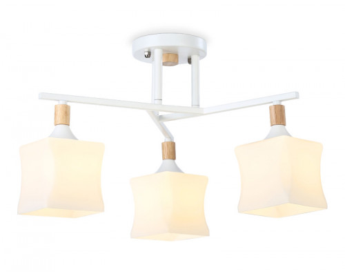 Сделать заказ Накладной светильник Ambrella Light TR9488| VIVID-LIGHT.RU