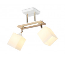 Накладной светильник Ambrella Light TR9501