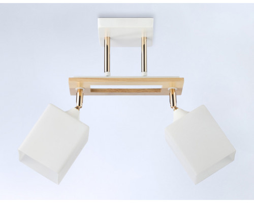 Оформить заказ Накладной светильник Ambrella Light TR9501| VIVID-LIGHT.RU