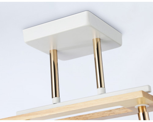 Оформить заказ Накладной светильник Ambrella Light TR9501| VIVID-LIGHT.RU