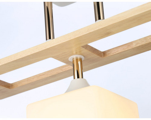 Заказать Накладной светильник Ambrella Light TR9505| VIVID-LIGHT.RU