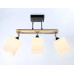 Купить Накладной светильник Ambrella Light TR9507| VIVID-LIGHT.RU