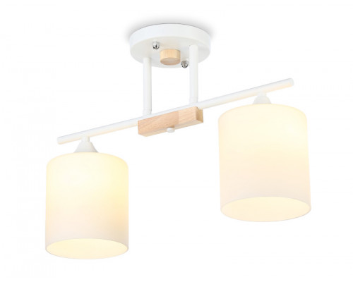 Сделать заказ Накладной светильник Ambrella Light TR9541| VIVID-LIGHT.RU