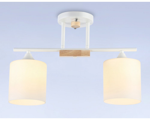 Сделать заказ Накладной светильник Ambrella Light TR9541| VIVID-LIGHT.RU