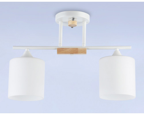 Сделать заказ Накладной светильник Ambrella Light TR9541| VIVID-LIGHT.RU