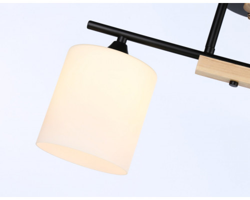 Купить Накладной светильник Ambrella Light TR9543| VIVID-LIGHT.RU