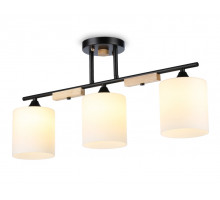 Накладной светильник Ambrella Light TR9551